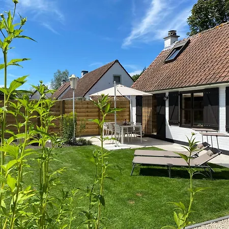 Zonnewind In Der Naehe Von Duenen Und Wald By Interhome * De Panne